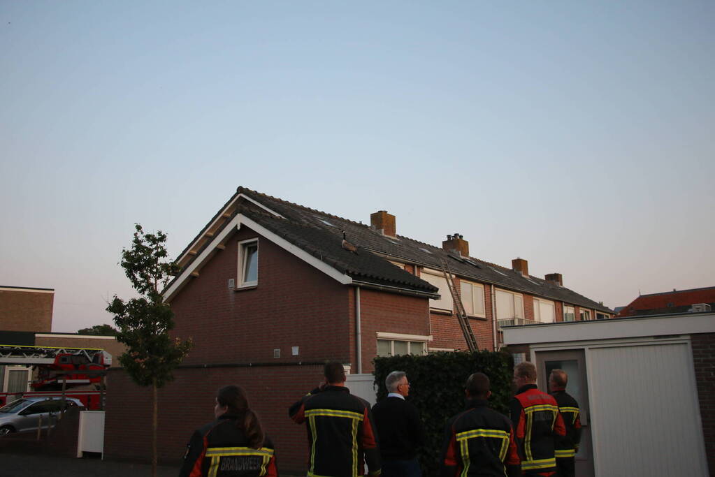 Brandweer ingezet voor gans op dak van schuur