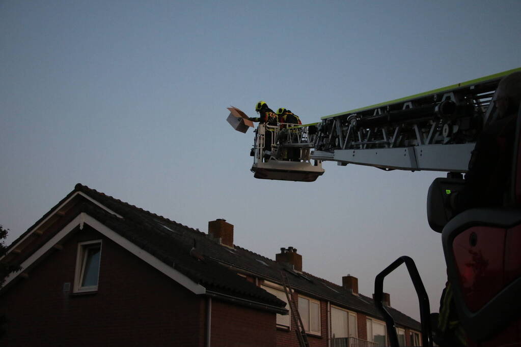 Brandweer ingezet voor gans op dak van schuur