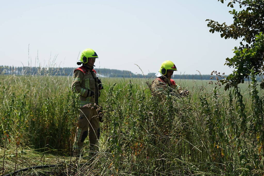 Meters in vlammen opgegaan bij brand in recreatiegebied De Vliegers