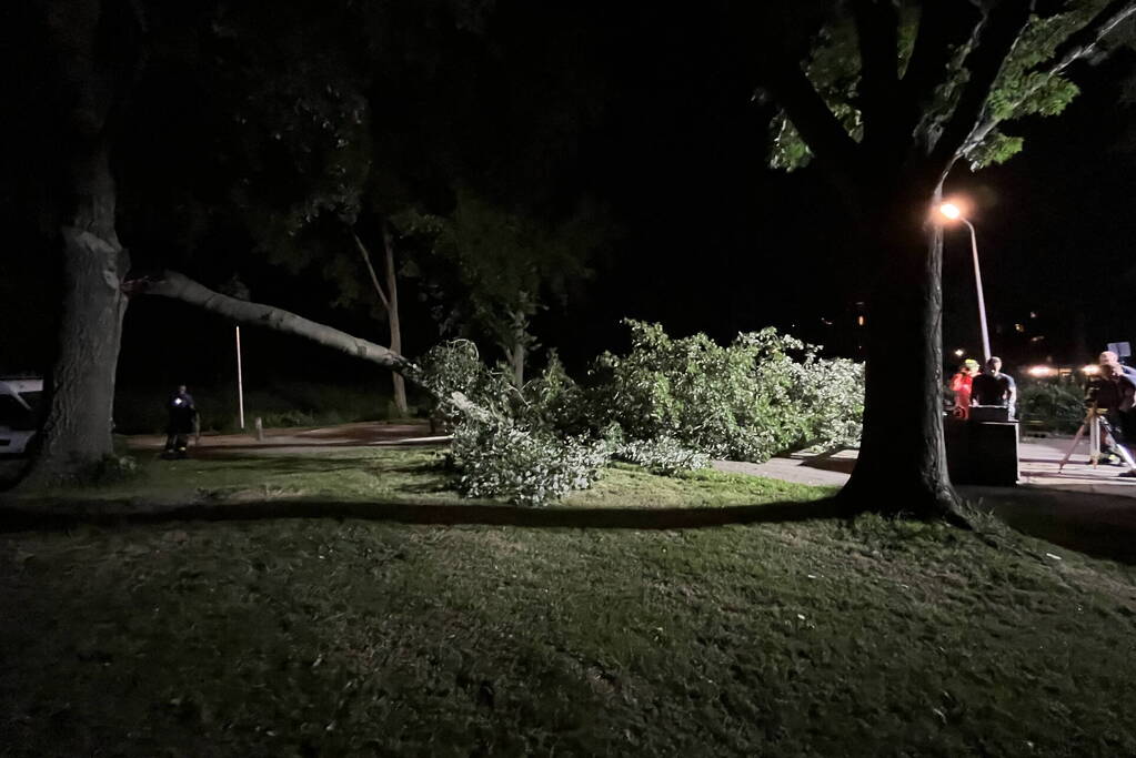 Grote tak breekt af en verspert weg