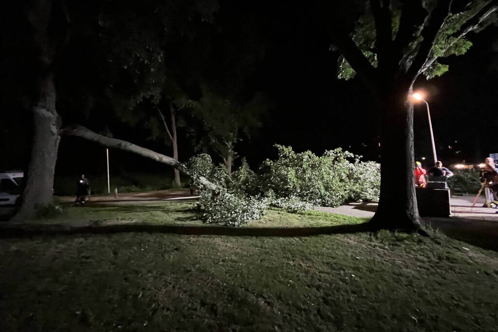 Grote tak breekt af en verspert weg
