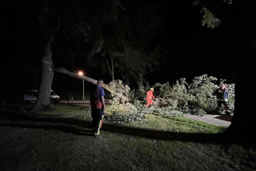 Grote tak breekt af en verspert weg