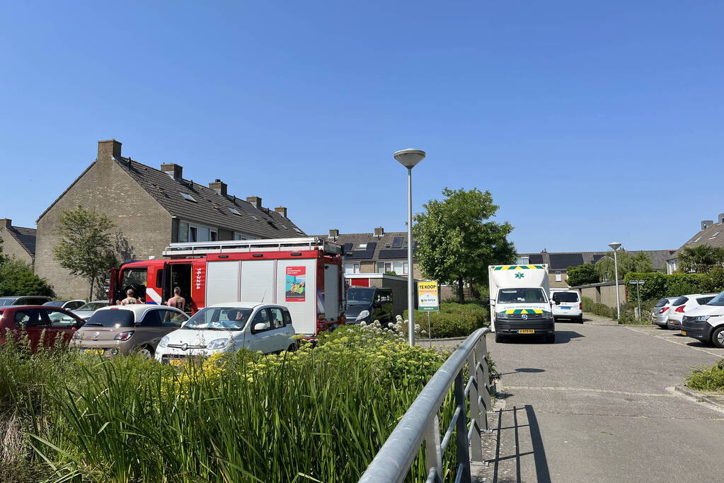 Waterhoentjes gered door brandweer