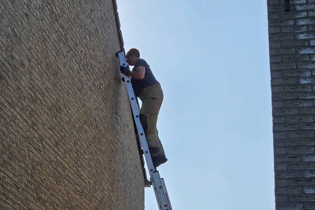 Brandweer bevrijdt vastzittende zwaluw