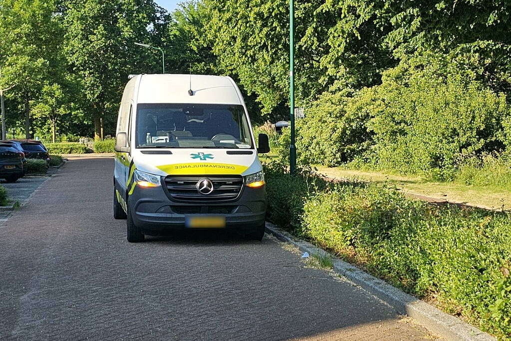 Brandweer bevrijdt vastzittende zwaluw