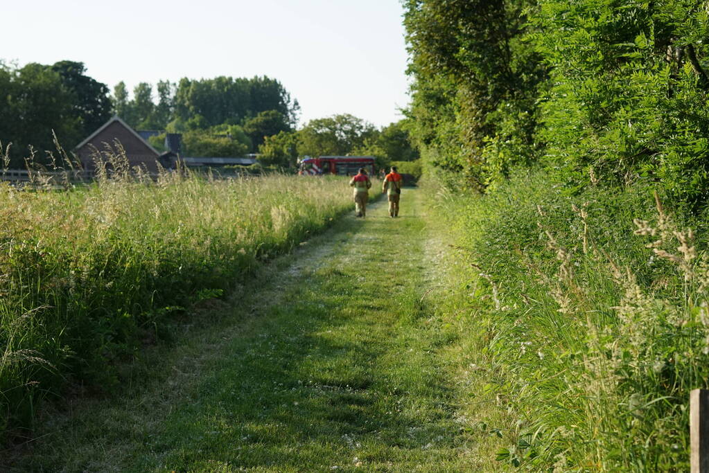 Meerdere branden in bosgebied