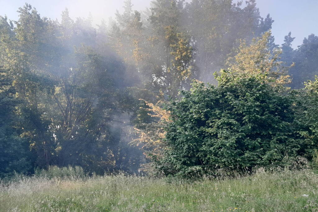 Brandweer blust brand in bosgebied