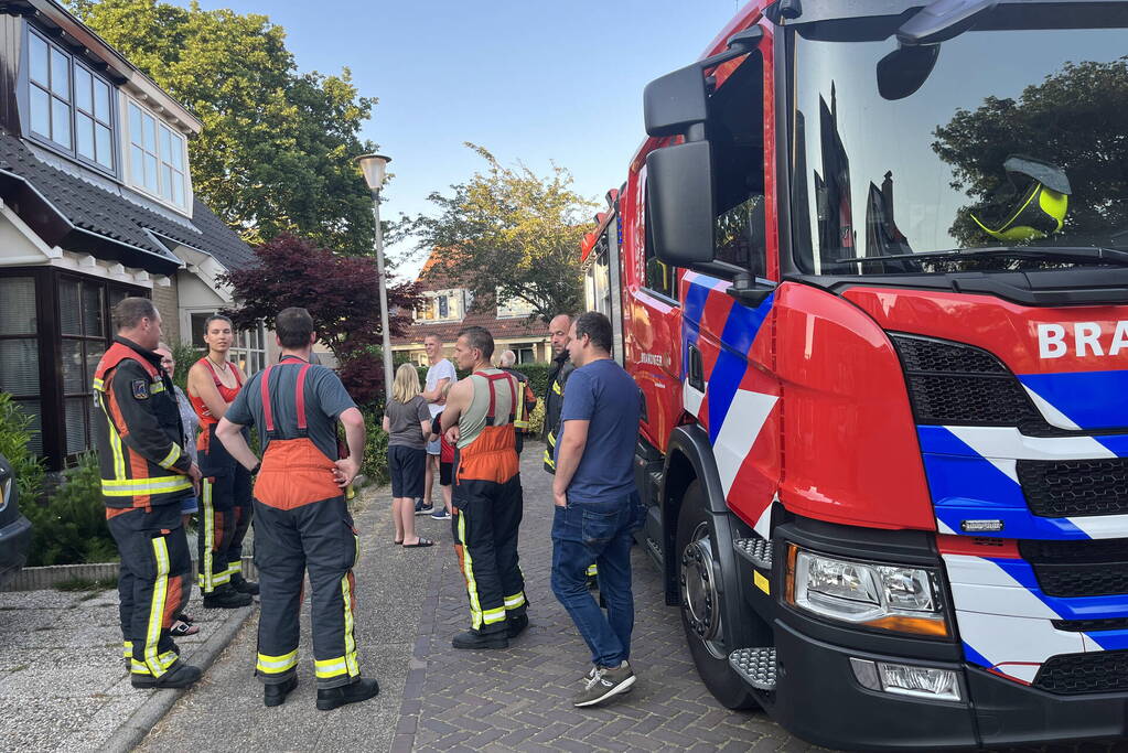 Vogel vast in schoorsteen