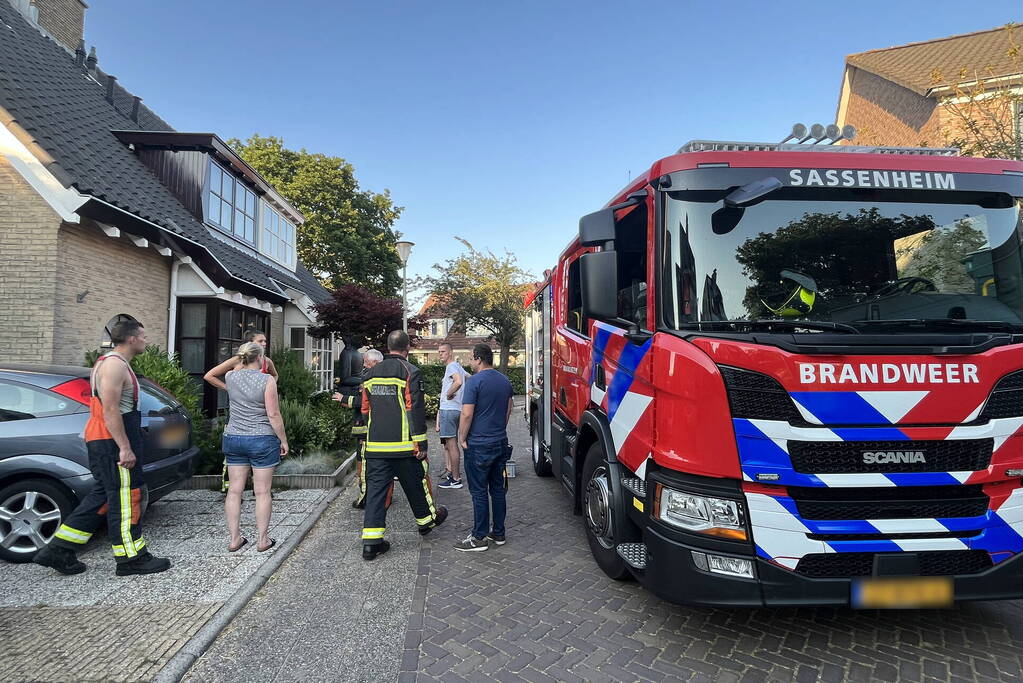 Vogel vast in schoorsteen