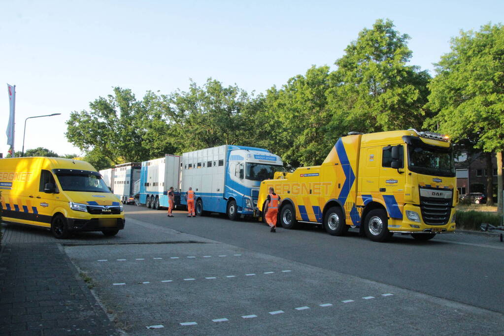 Vrachtwagen met koeien defect op snelweg