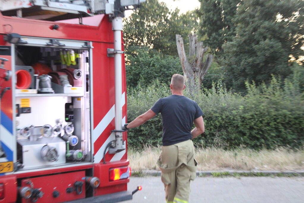 Brandende bosschages geblust