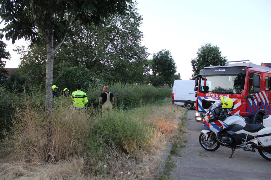 Brandende bosschages geblust