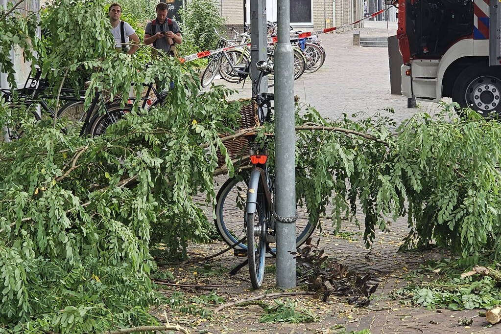 Winkelgebied deels afgesloten door gevaarlijk hangende tak