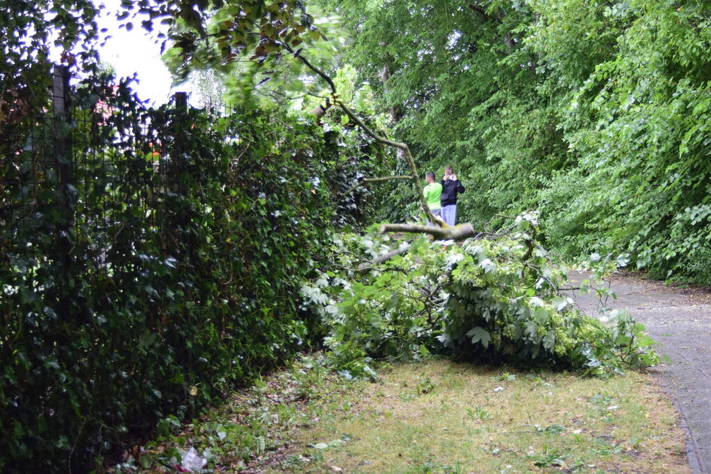 Brandweer ingezet voor omgevallen boom