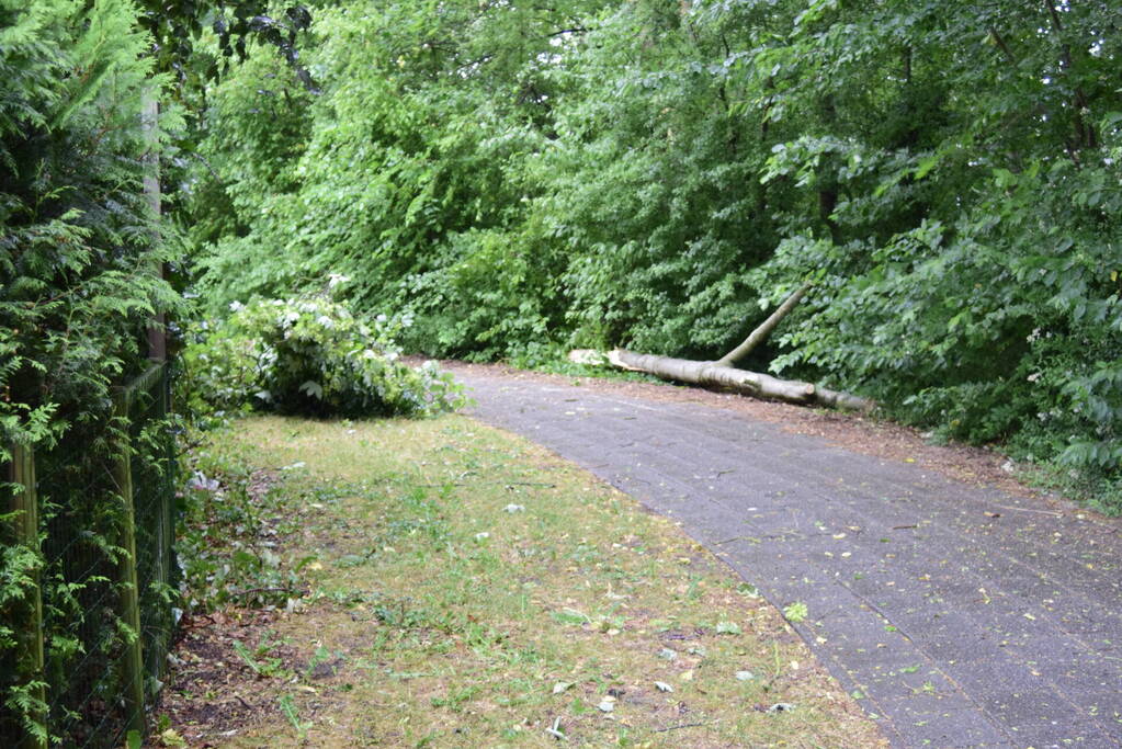 Brandweer ingezet voor omgevallen boom