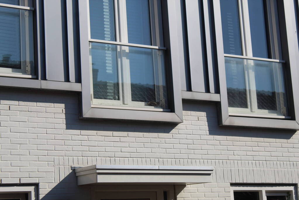 Brandweer ingezet voor vastzittende duif