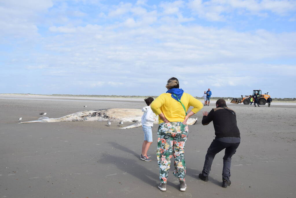 Grote bultrug aangespoeld