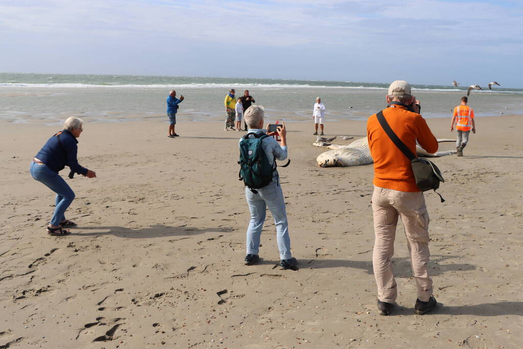 Grote bultrug aangespoeld