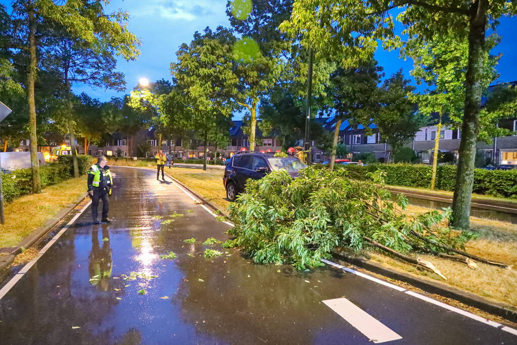 LPG-tank auto lek na botsing met boom
