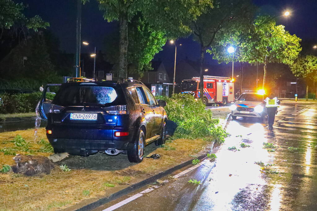 LPG-tank auto lek na botsing met boom