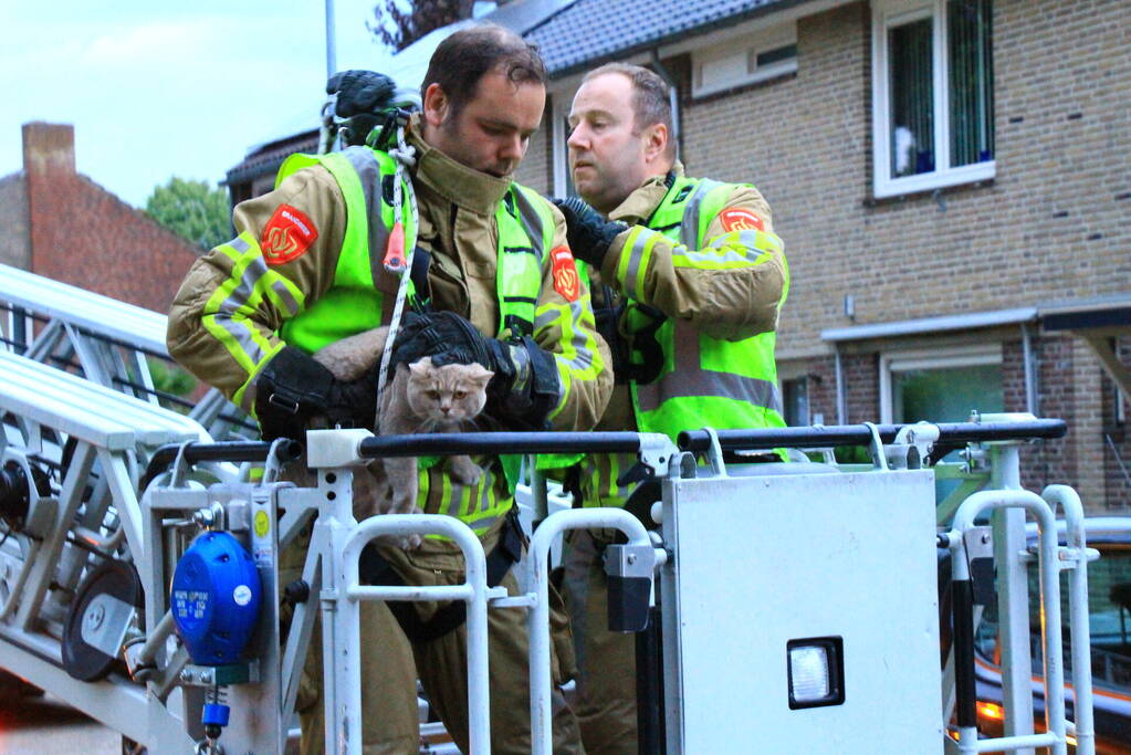Brandweer redt voor derde keer kat van dak