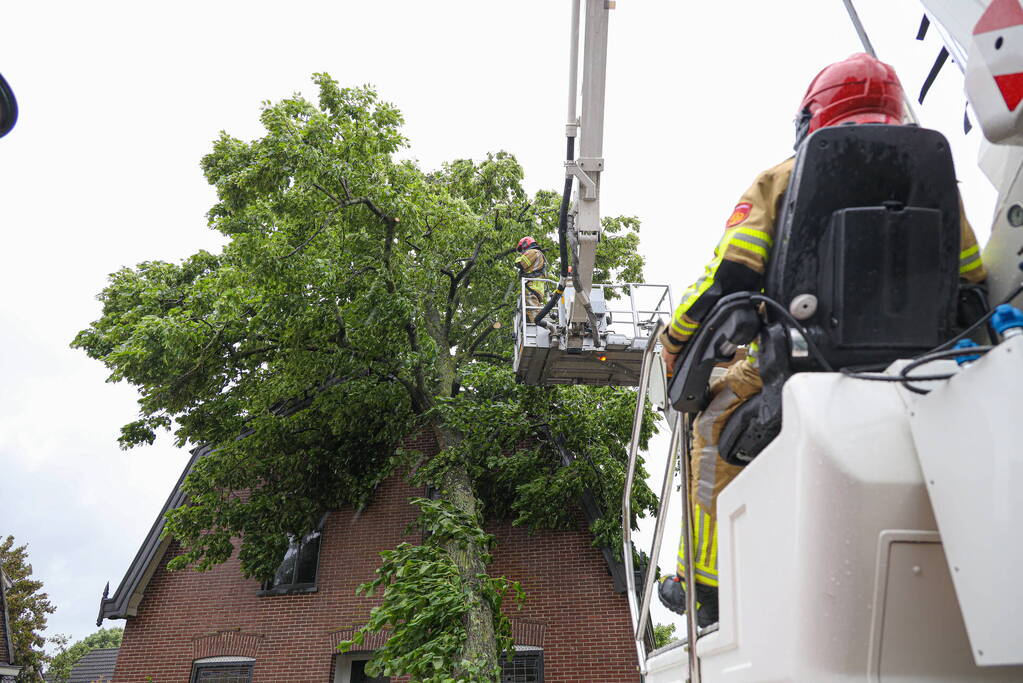 Flinke boom omgewaaid tegen woning