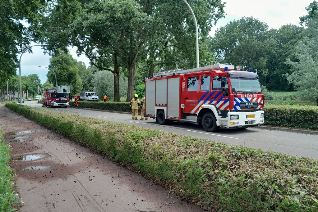 Brandweer verwijdert loshangende takken boven wegdek