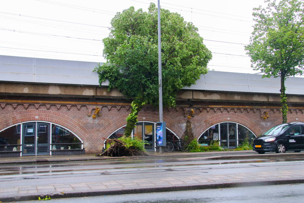 Omgewaaide boom hindert treinverkeer