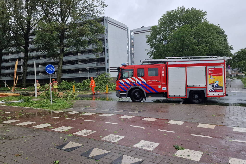 Meerdere bomen omgewaaid door storm
