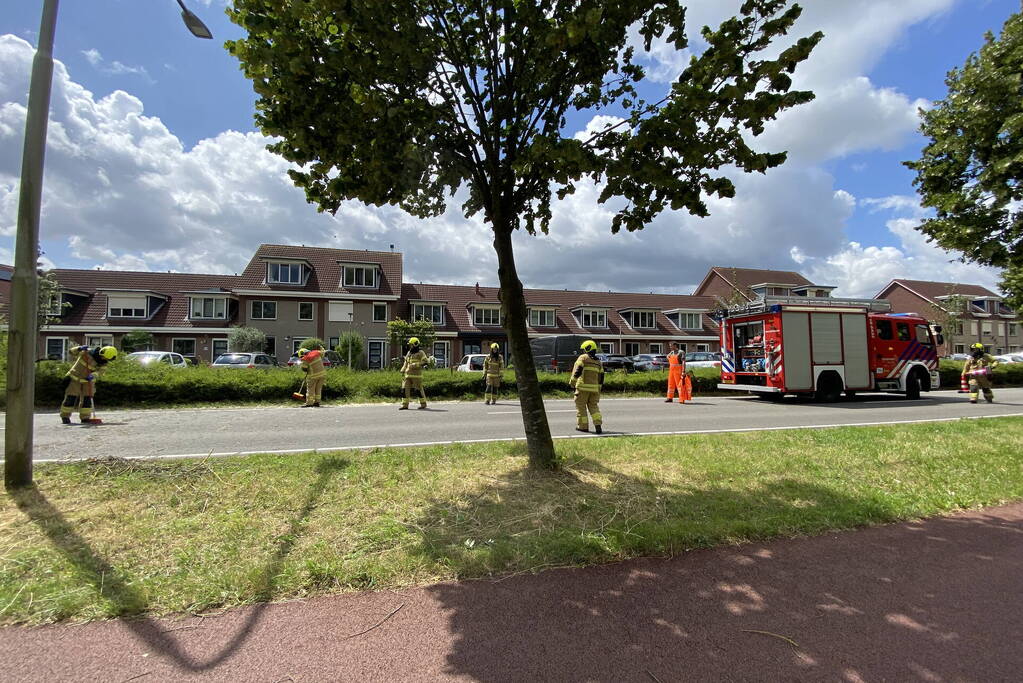 Boom omgewaaid op wegdek