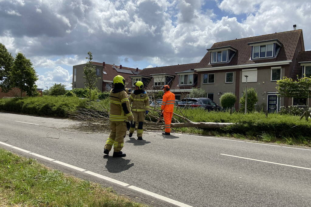 Boom omgewaaid op wegdek