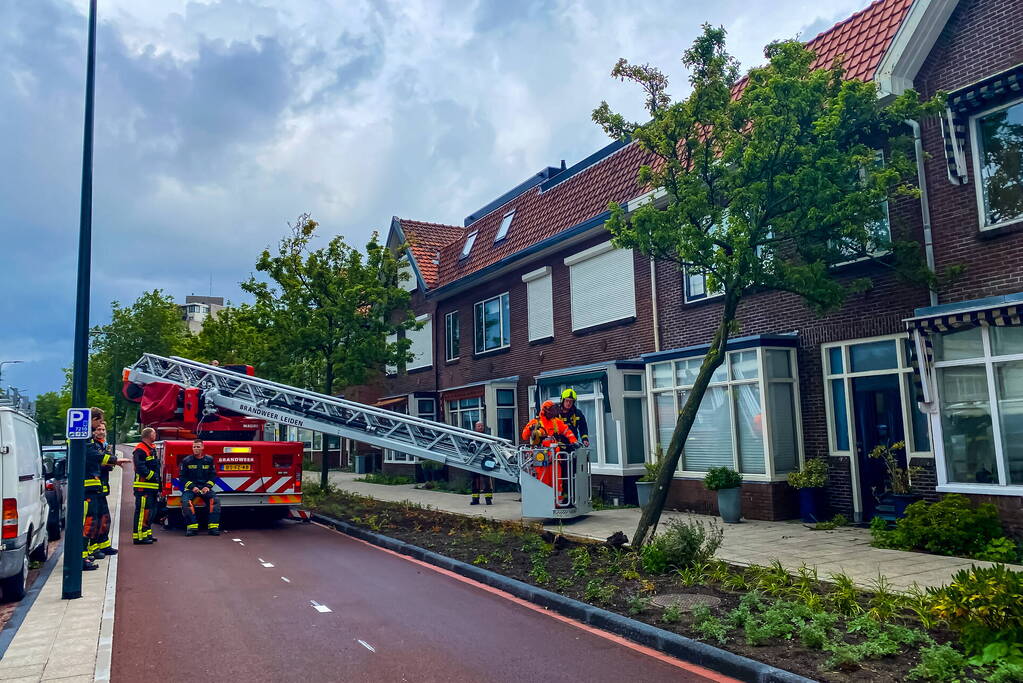 Boom valt om tegen woning door zomerstorm