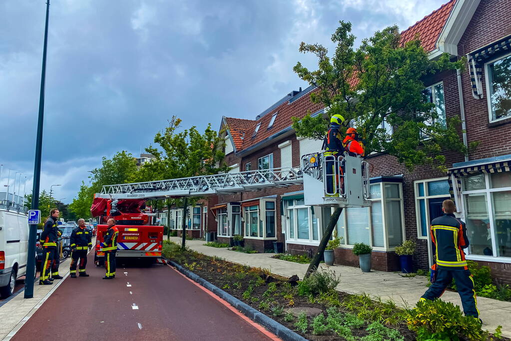 Boom valt om tegen woning door zomerstorm