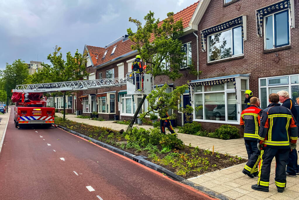 Boom valt om tegen woning door zomerstorm