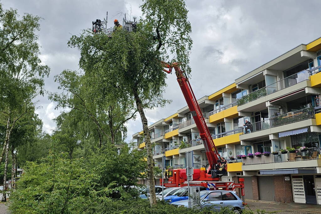 Loshangende tak door storm verwijderd