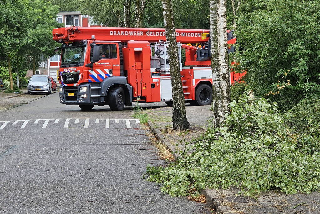 Loshangende tak door storm verwijderd