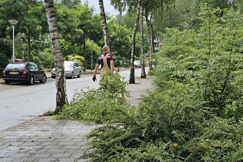 Loshangende tak door storm verwijderd