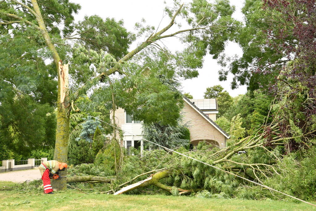 Brandweer zaagt boom om na storm Poly