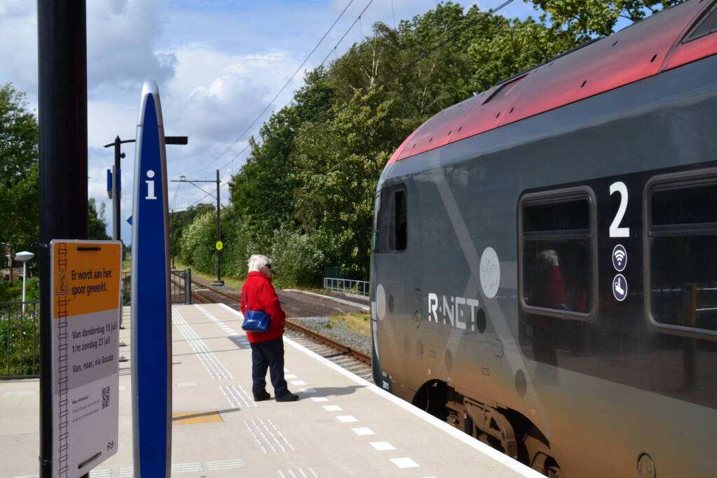 Geen treinverkeer door omgevallen boom op spoor
