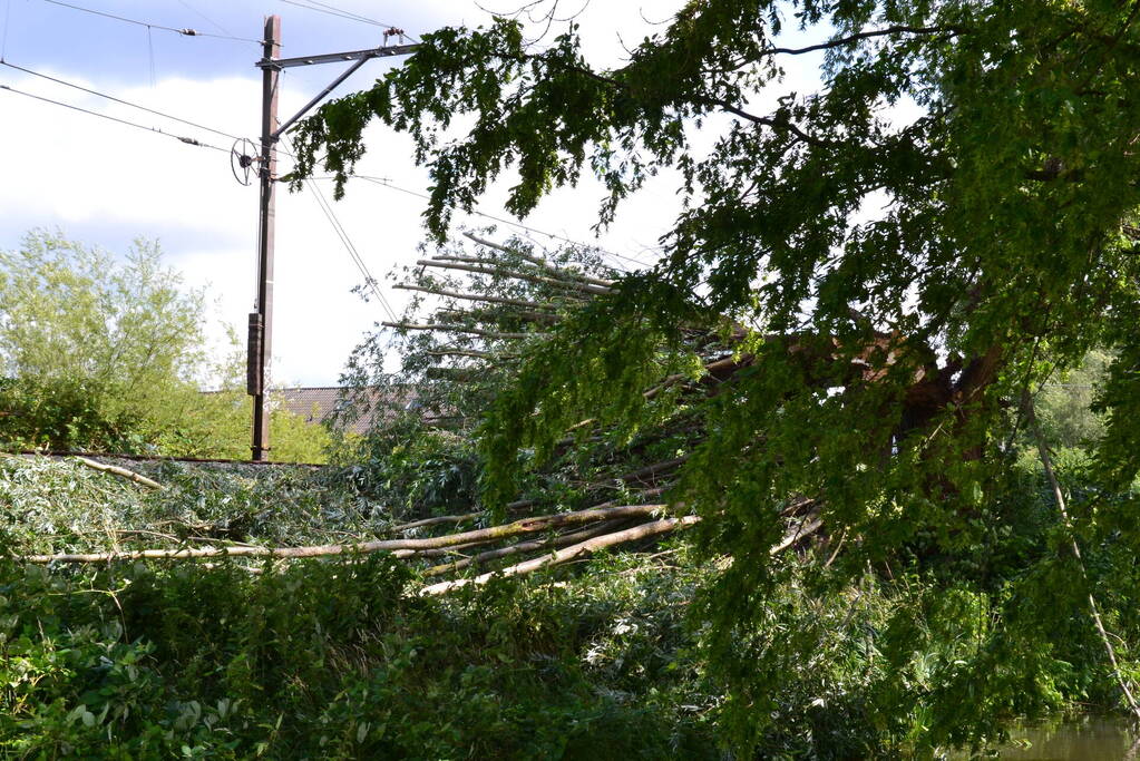 Geen treinverkeer door omgevallen boom op spoor