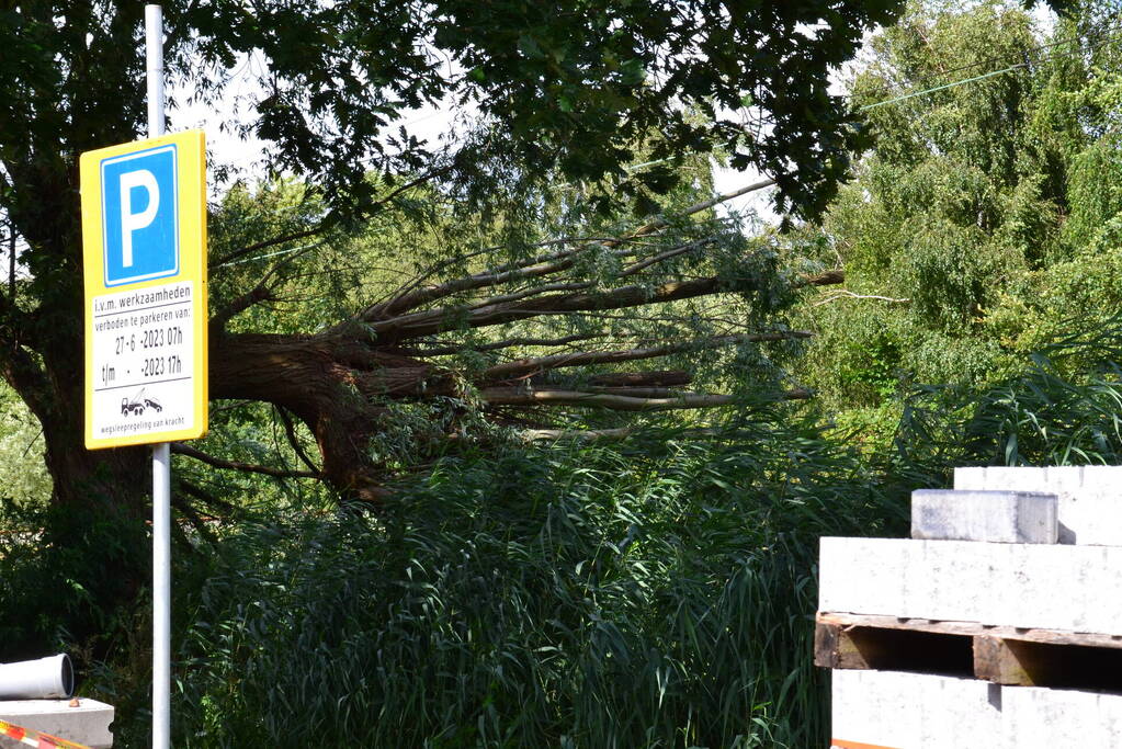 Geen treinverkeer door omgevallen boom op spoor