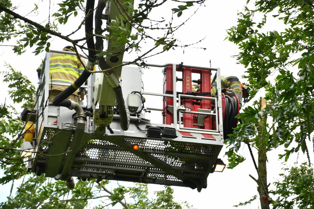 Straat afgezet door vallende takken