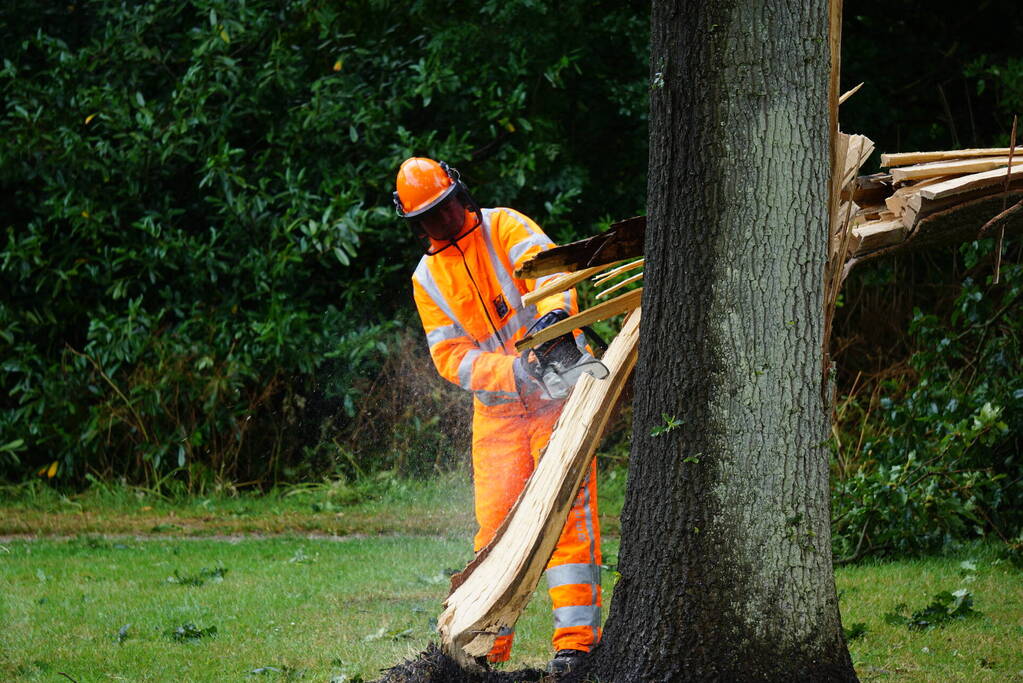 Boom waait bovenop auto