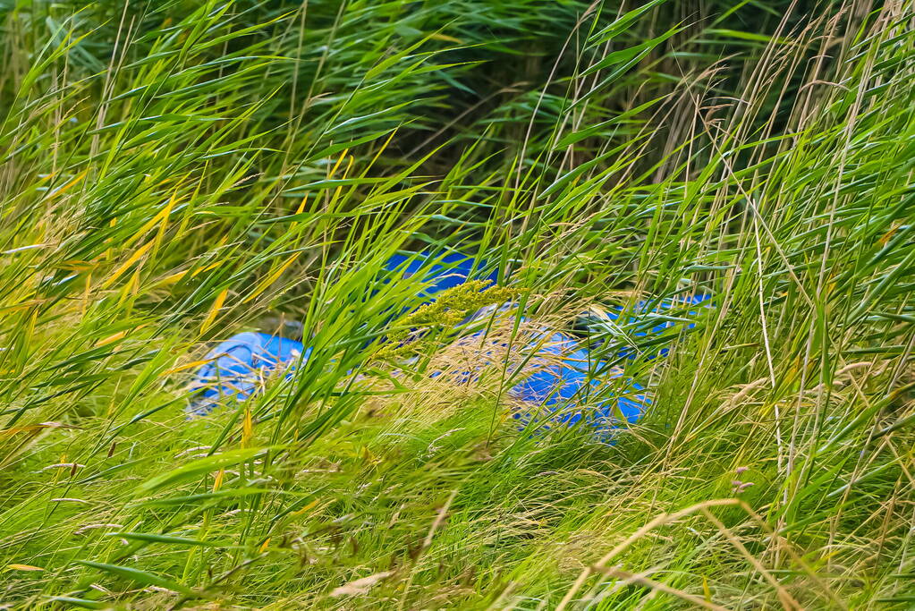 Brandweer controleert gedumpte vaten