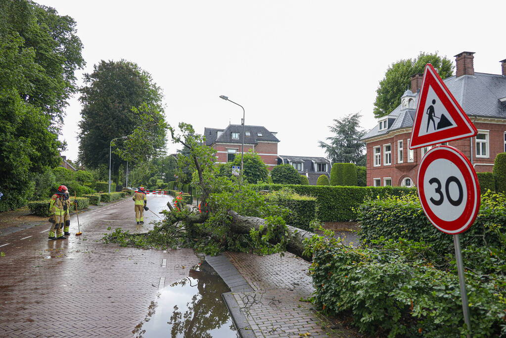 Flinke boom blokkeert de weg