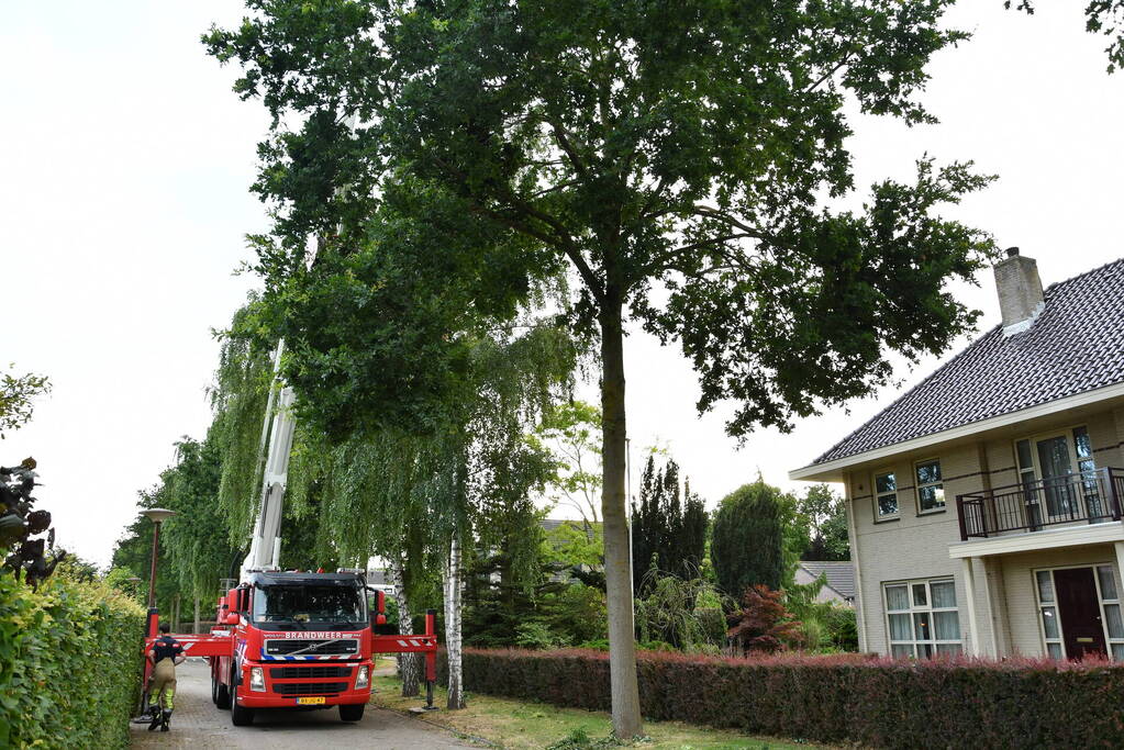 Brandweer verwijdert gevaarlijk hangende tak