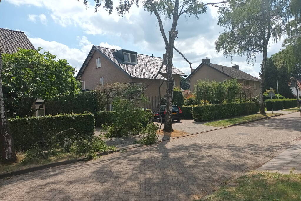 Brandweer verwijdert gescheurde tak