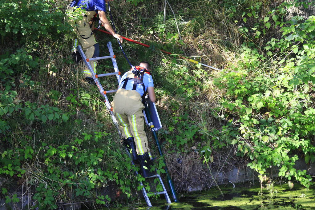 Brandweer haalt fiets en verkeersbord uit water