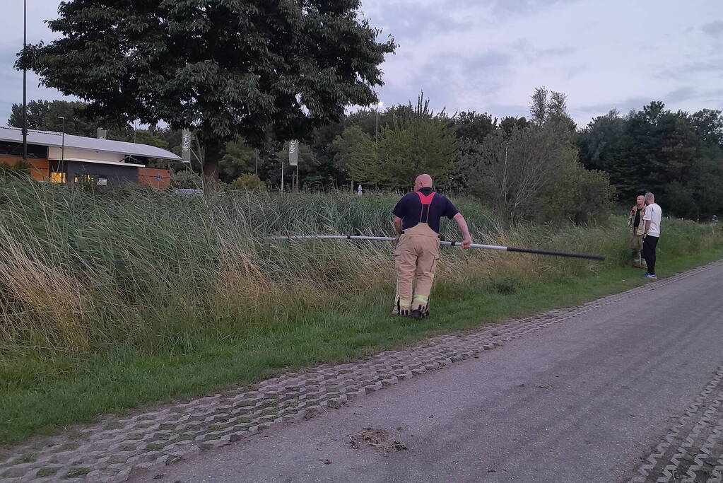 Brandweer probeert kuikens in problemen te redden