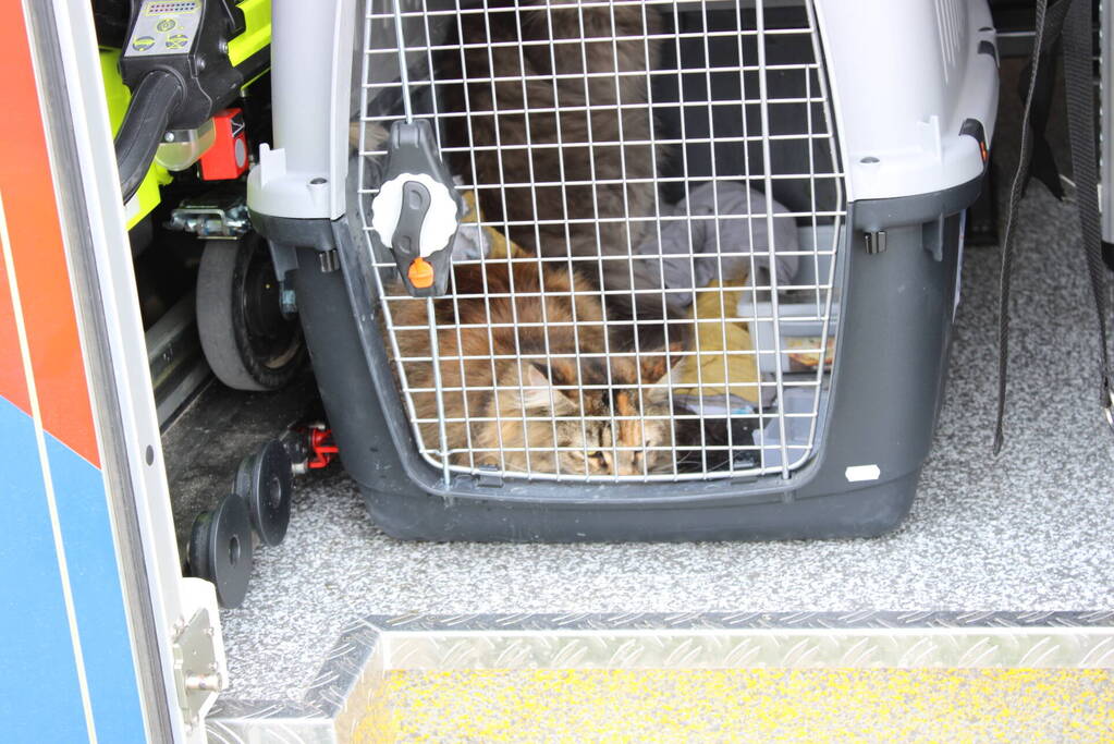 Automobilist vliegt uit de bocht en belandt in het water